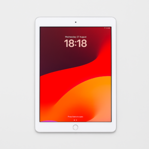Home Apple iPad 6th Generation (Used)