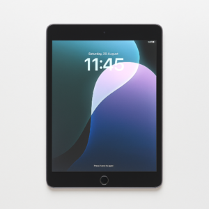 Apple iPad Mini 5th Generation 256GB Wi-Fi (Used)